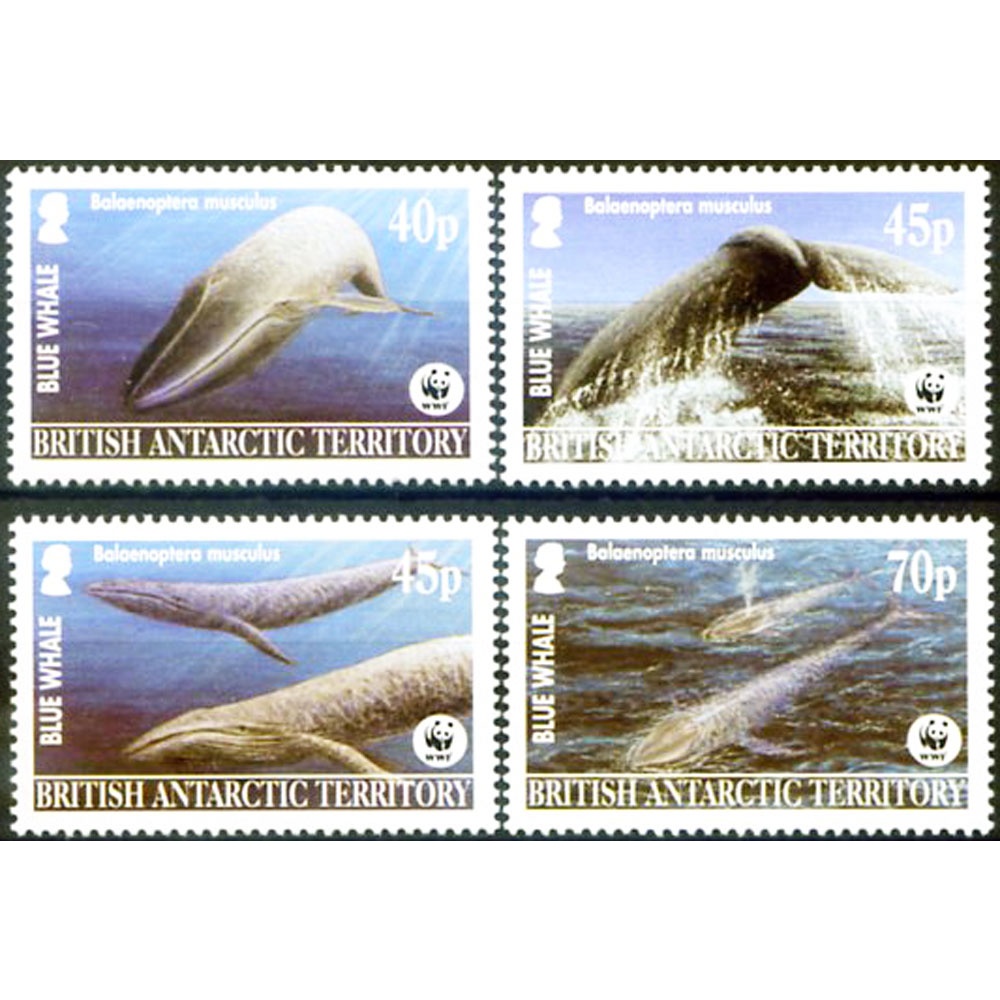 Fauna. WWF. Balenottera azzurra 2003.