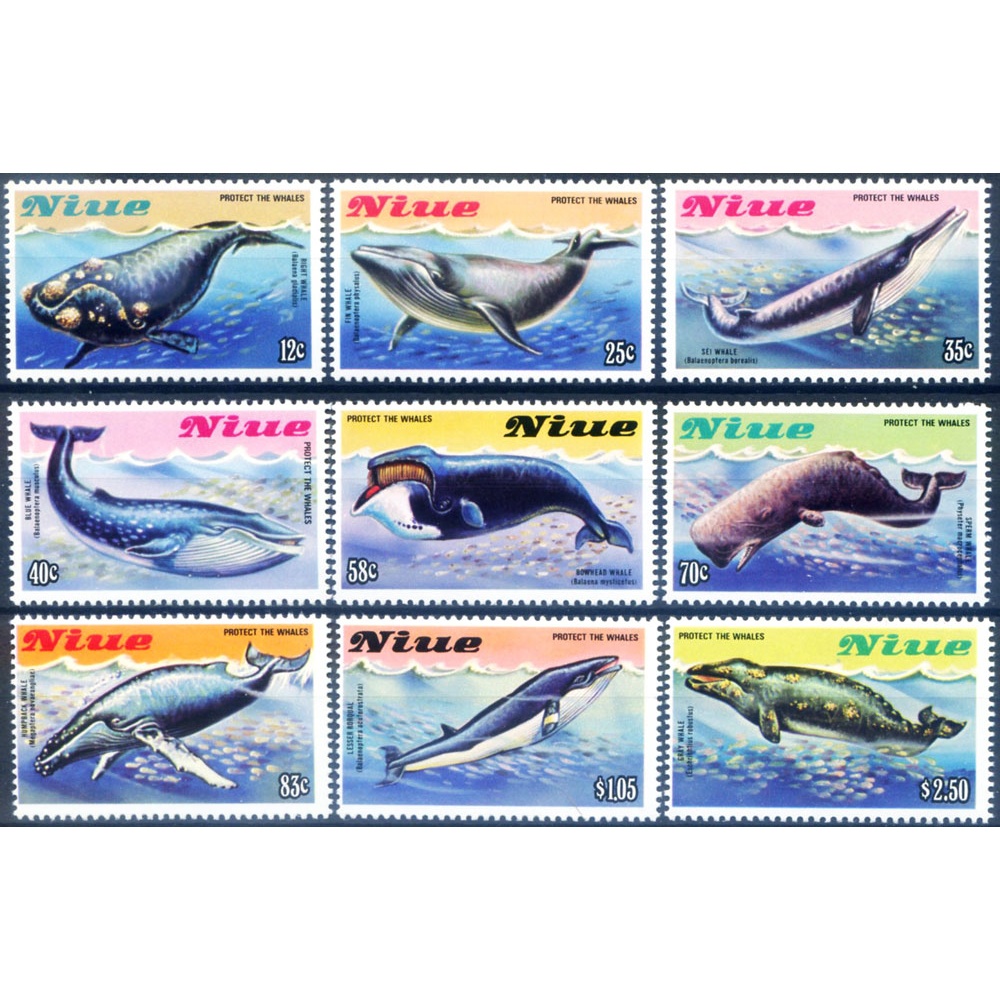 Fauna. Cetacei 1983.