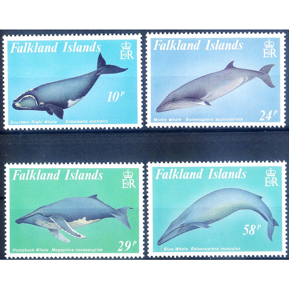 Fauna. Cetacei 1989.