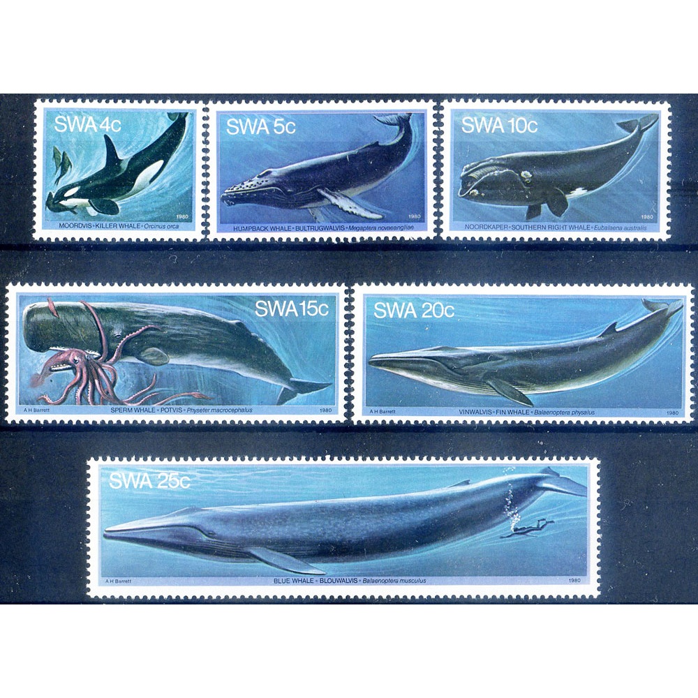 Fauna. Cetacei 1980.